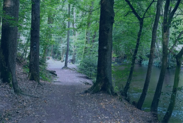 Bildlich gesprochen ist Psychotherapie wie eine Wanderung auf einem Weg, der von einer dunkleren in eine hellere Landschaft führt.